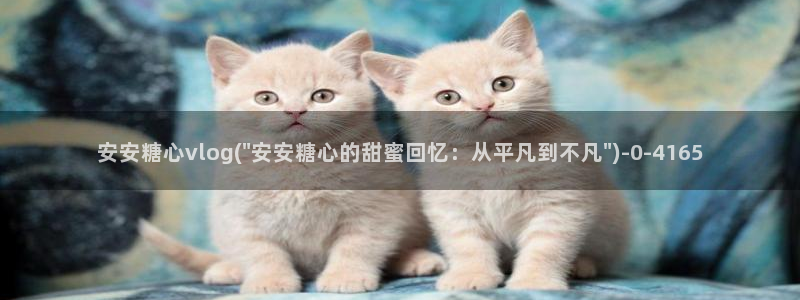 黄色糖心vlog下载