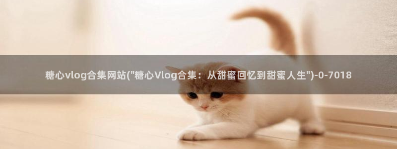 糖心vlog花季传媒