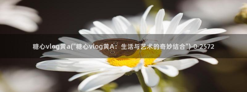 糖心vlog国产下载