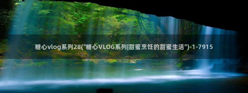 糖心vlog合集网站